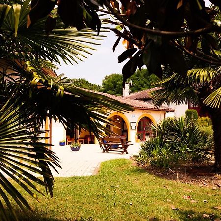 Logis Hotel Restaurant Solenca Nogaro Esterno foto